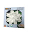 Water Lily Solar light
